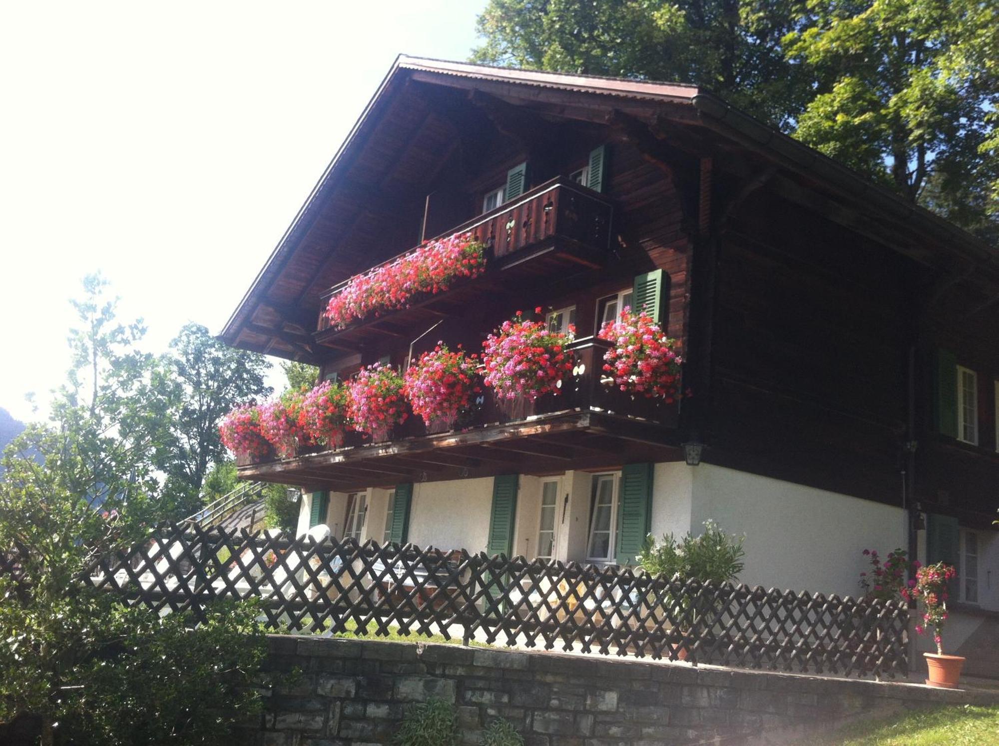 Hotel Sonnenberg Grindelwald Exterior foto
